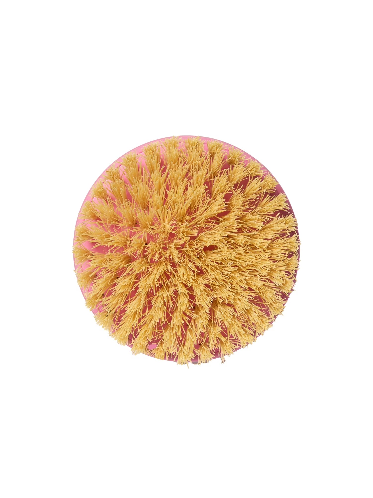 Smooth Away Exfoliating Dry Brush, Natural Bristles, Exfoliating Body Scrubber and Dry Brush